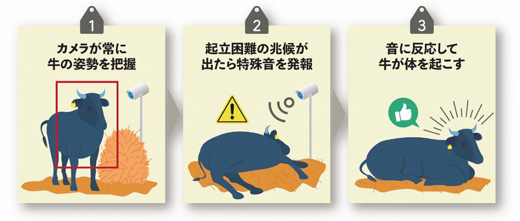 国内飼料業界最大手のフィード・ワンが 牛の起立困難予防声かけAI